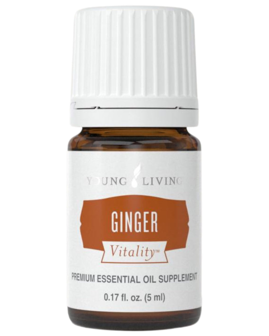 Young Living Ginger Vitality Essential Oil 5ml – Spicy Flavor for Cooking & Digestive Support
