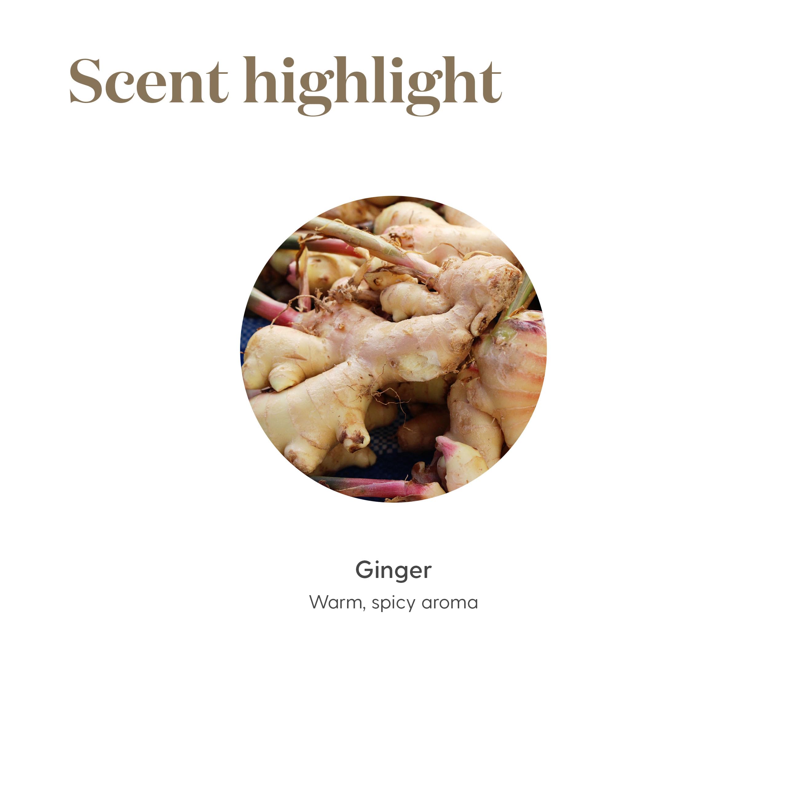 Young Living Ginger Vitality Essential Oil 5ml – Spicy Flavor for Cooking & Digestive Support