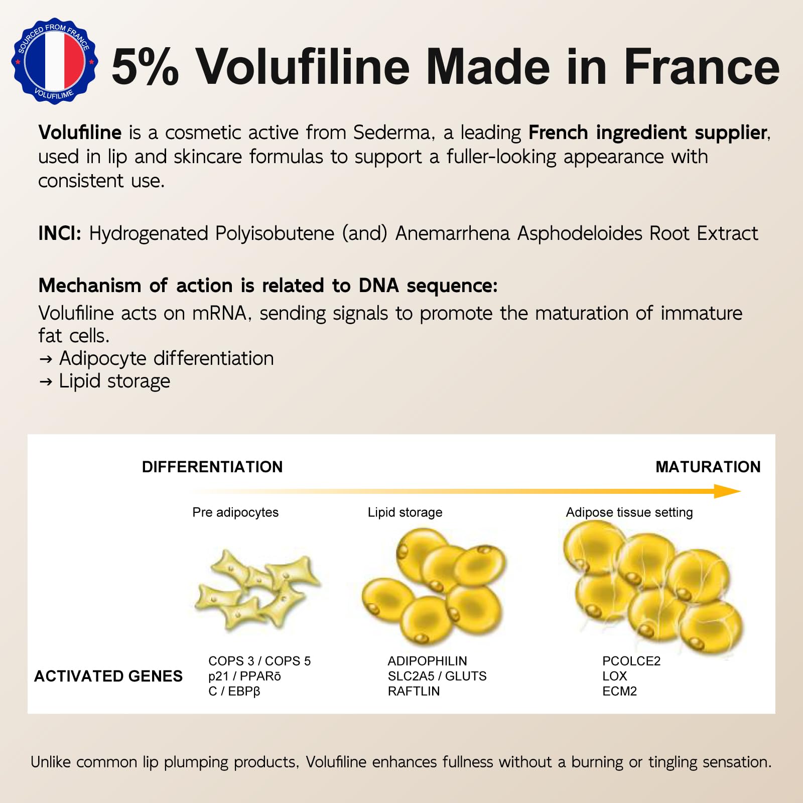 YouthVibe 5% Volufiline Lip Plumper – Gentle Daily Plumping with Squalane, Peptides & PDRN