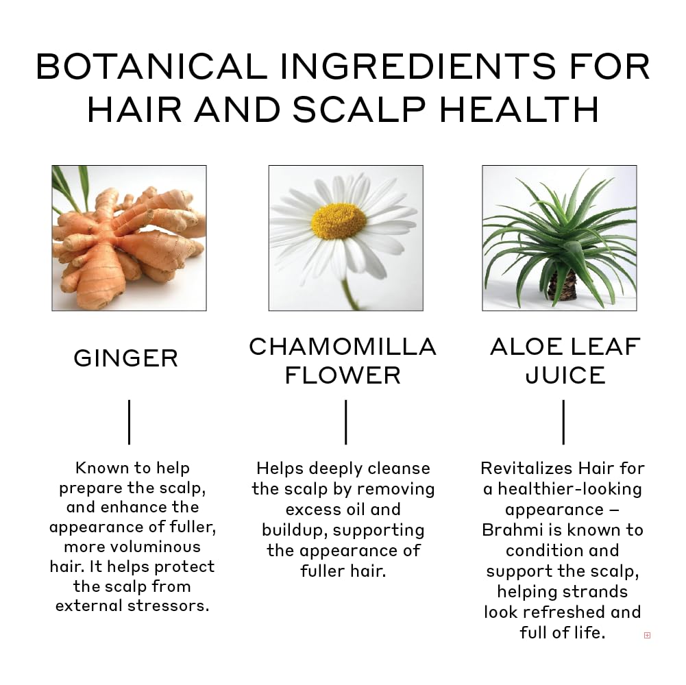 Zenagen Revolve Conditioner (Unisex) – Scalp Health & Fuller-Looking Hair | Plant-Based, Vegan, Color-Safe, 75 mL