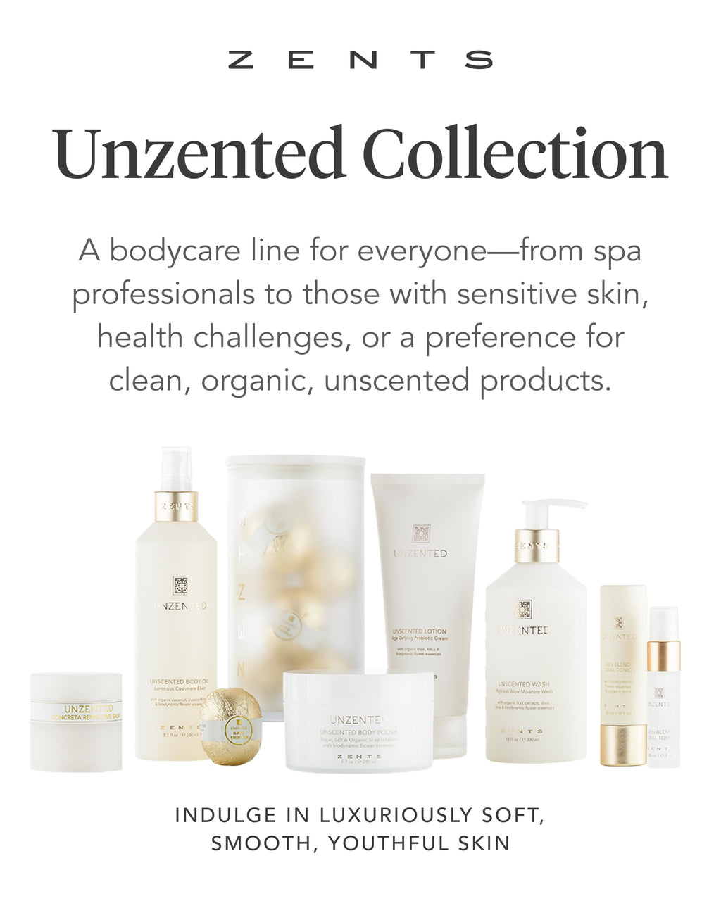 Zents Age-Defying Probiotic Body & Hand Lotion (Fragrance-Free) – Hyaluronic Acid & Organic Shea Butter | 6.4 fl oz