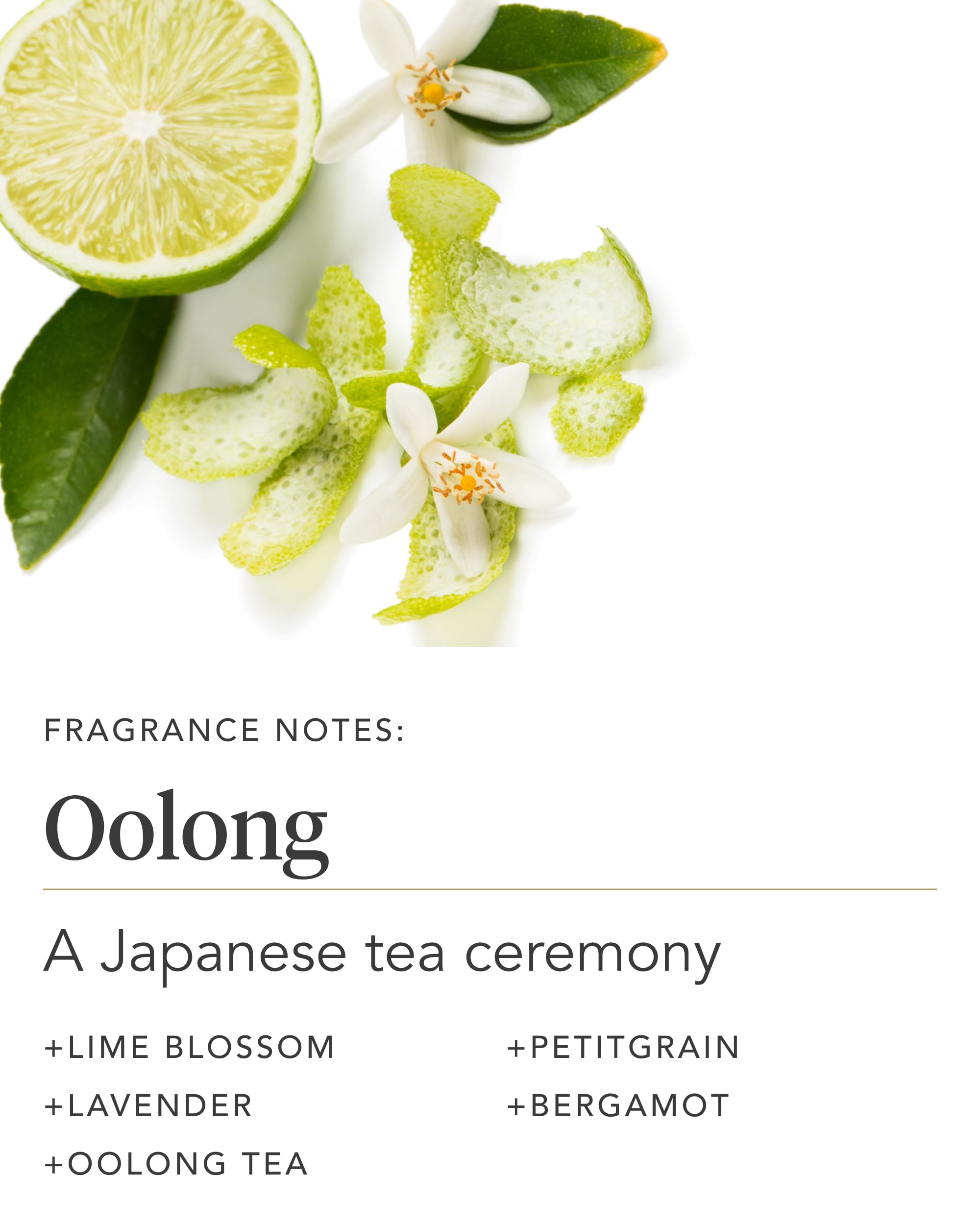 Zents Age-Defying Probiotic Lotion Oolong | Hyaluronic Acid & Organic Shea Butter | 6.4 oz