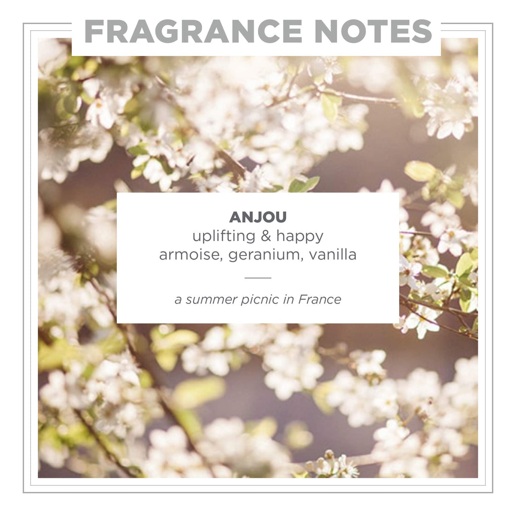 Zents Anjou Eau de Parfum – Unisex Scent with Jasmine, Geranium & Armoise | Clean, Long-Lasting Fragrance 1.69 oz
