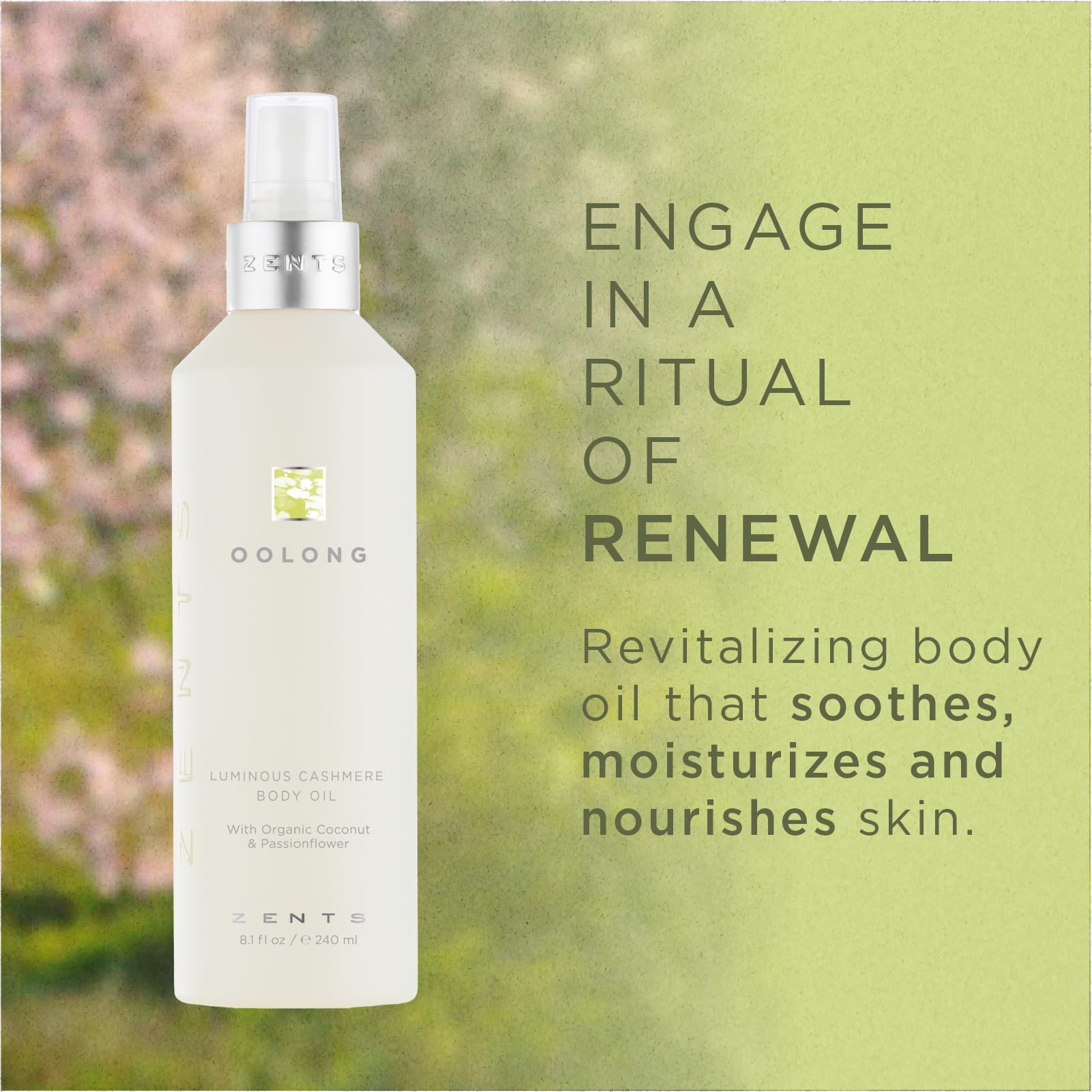 Zents Luminous Cashmere Body Oil (Anjou Fragrance) – Moisturizing Oil with Vitamin E & Organic Coconut Oil | 8 fl oz